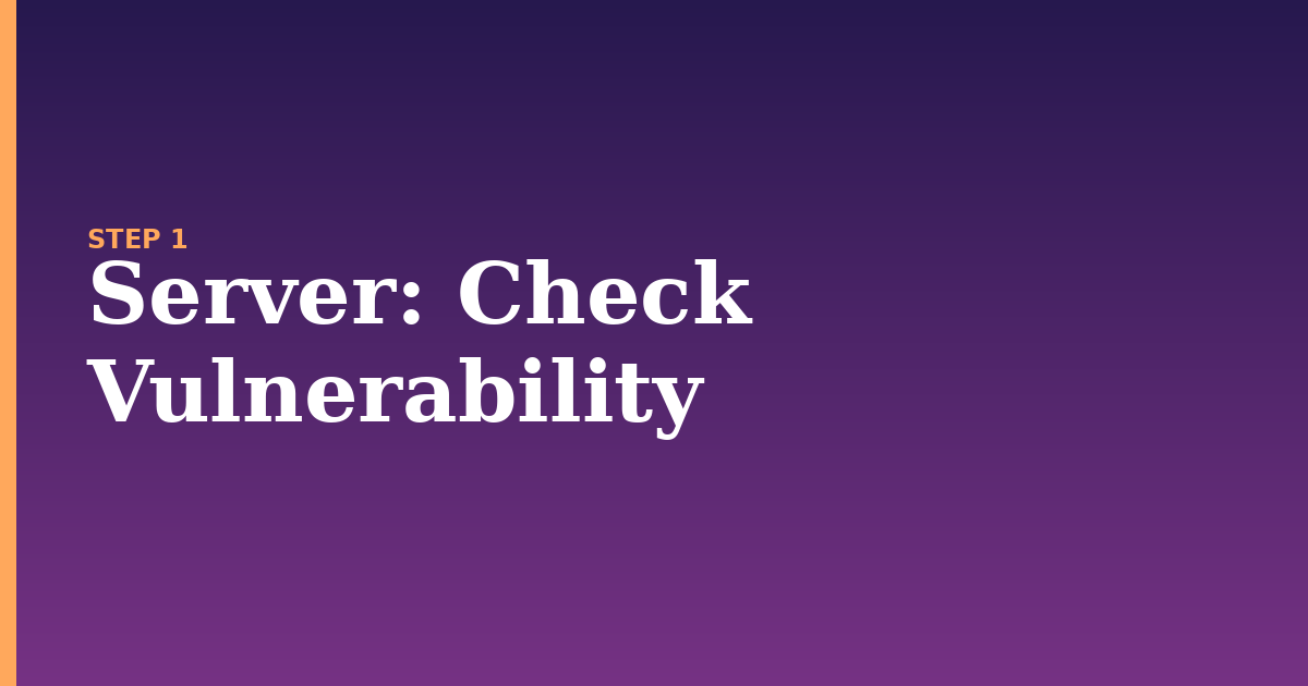 server illustration for: Check Vulnerability