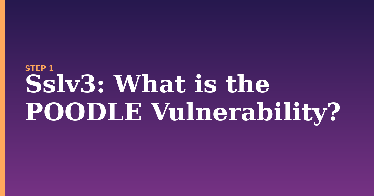 sslv3 illustration for: What is the POODLE Vulnerability?