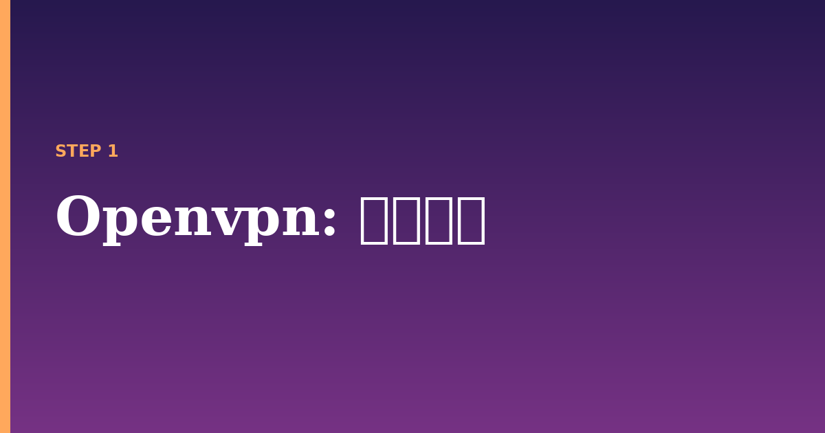 openvpn illustration for: 前提条件