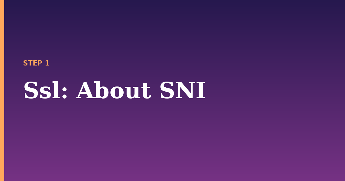 ssl illustration for: About SNI