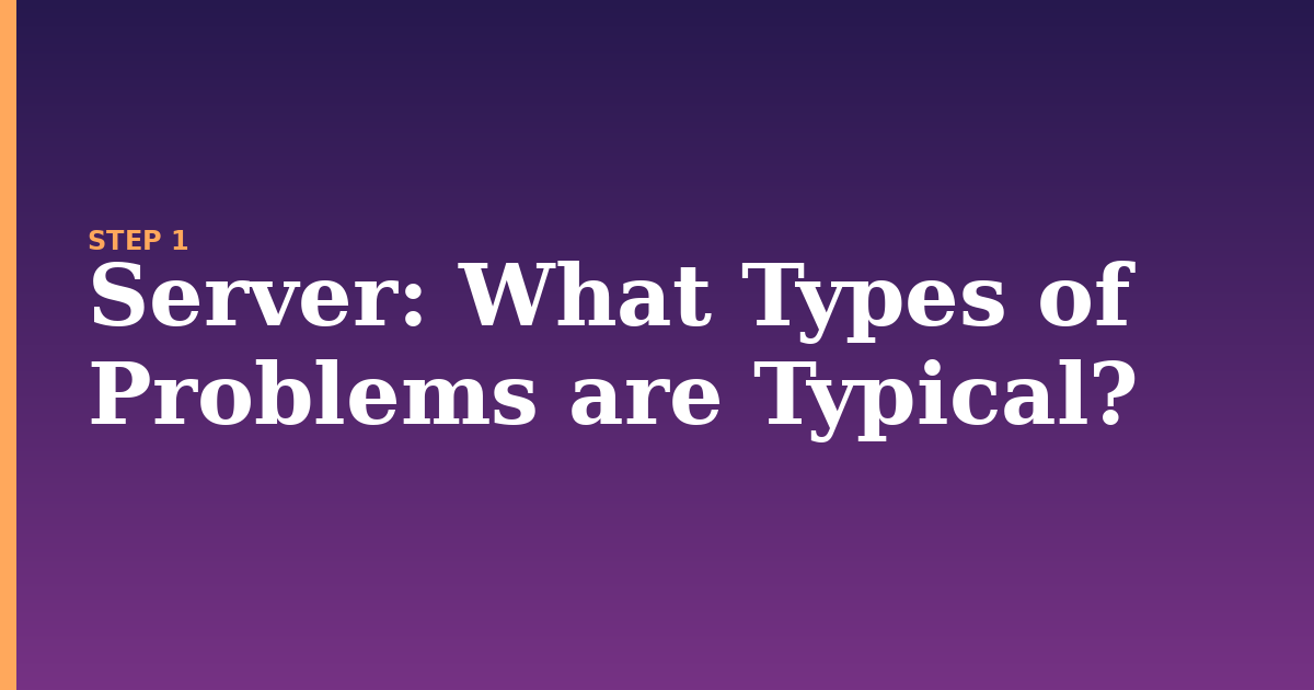 server illustration for: What Types of Problems are Typical?
