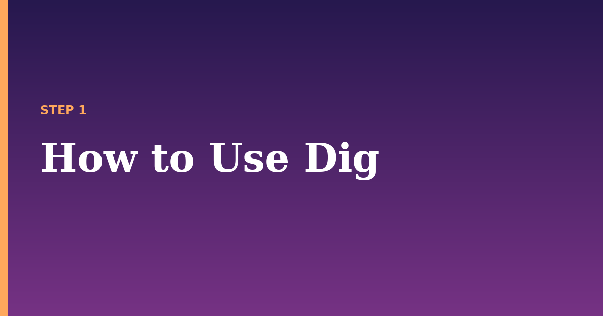 dig illustration for: How to Use Dig
