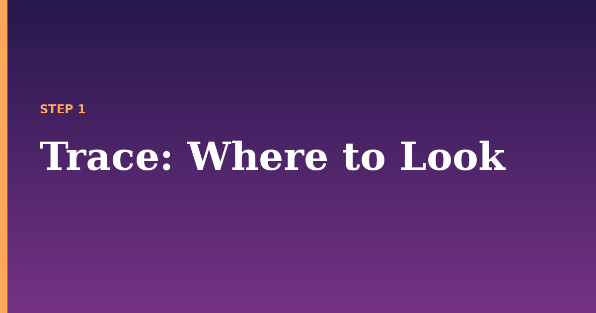 trace illustration for: Where to Look