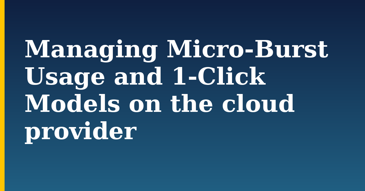 Managing Micro-Burst Usage and 1-Click Models on the cloud provider