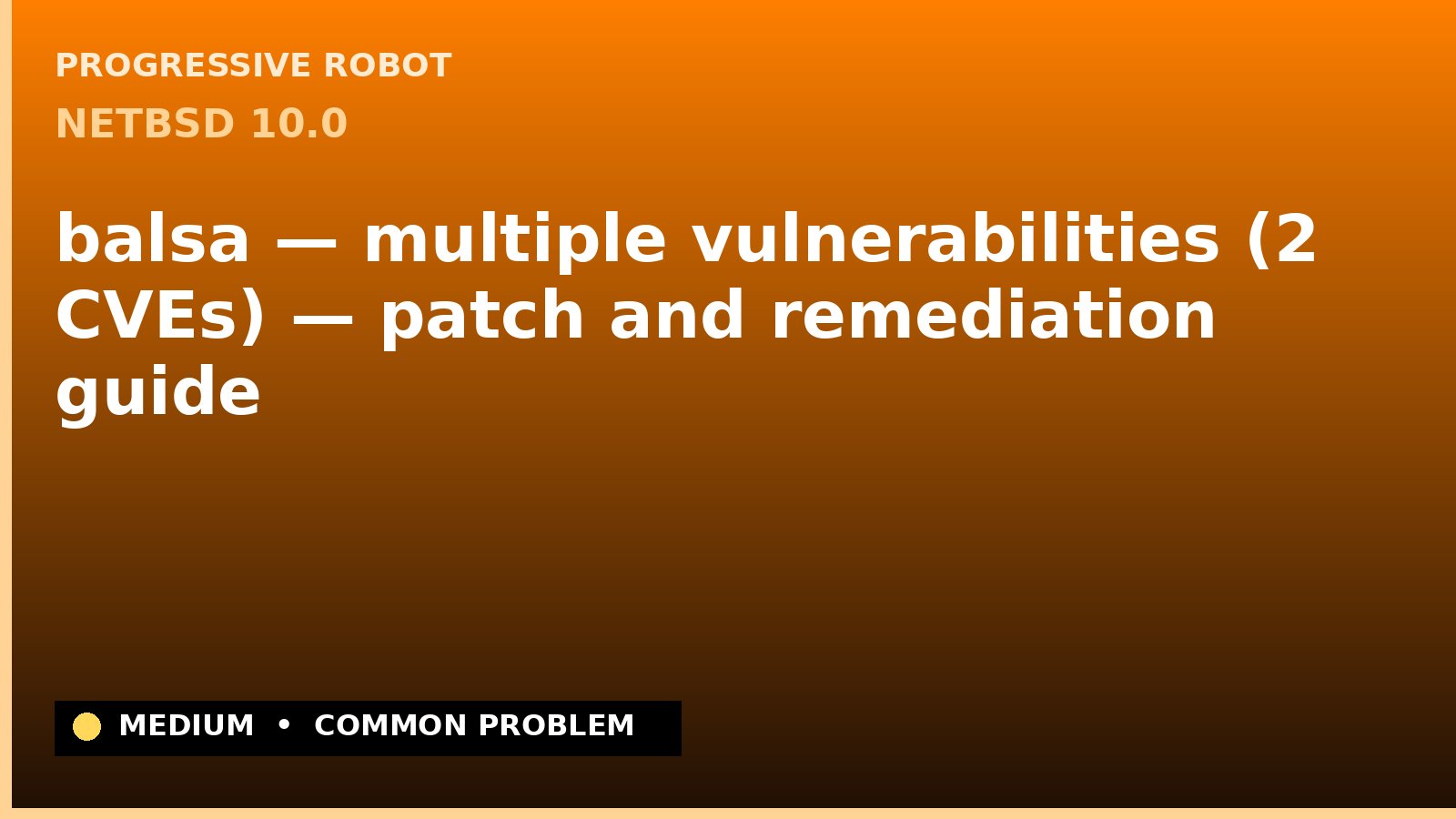 NetBSD 10.0 — balsa — multiple vulnerabilities (2 CVEs) — patch and remediation guide — diagnosis and fix on NetBSD 10.0