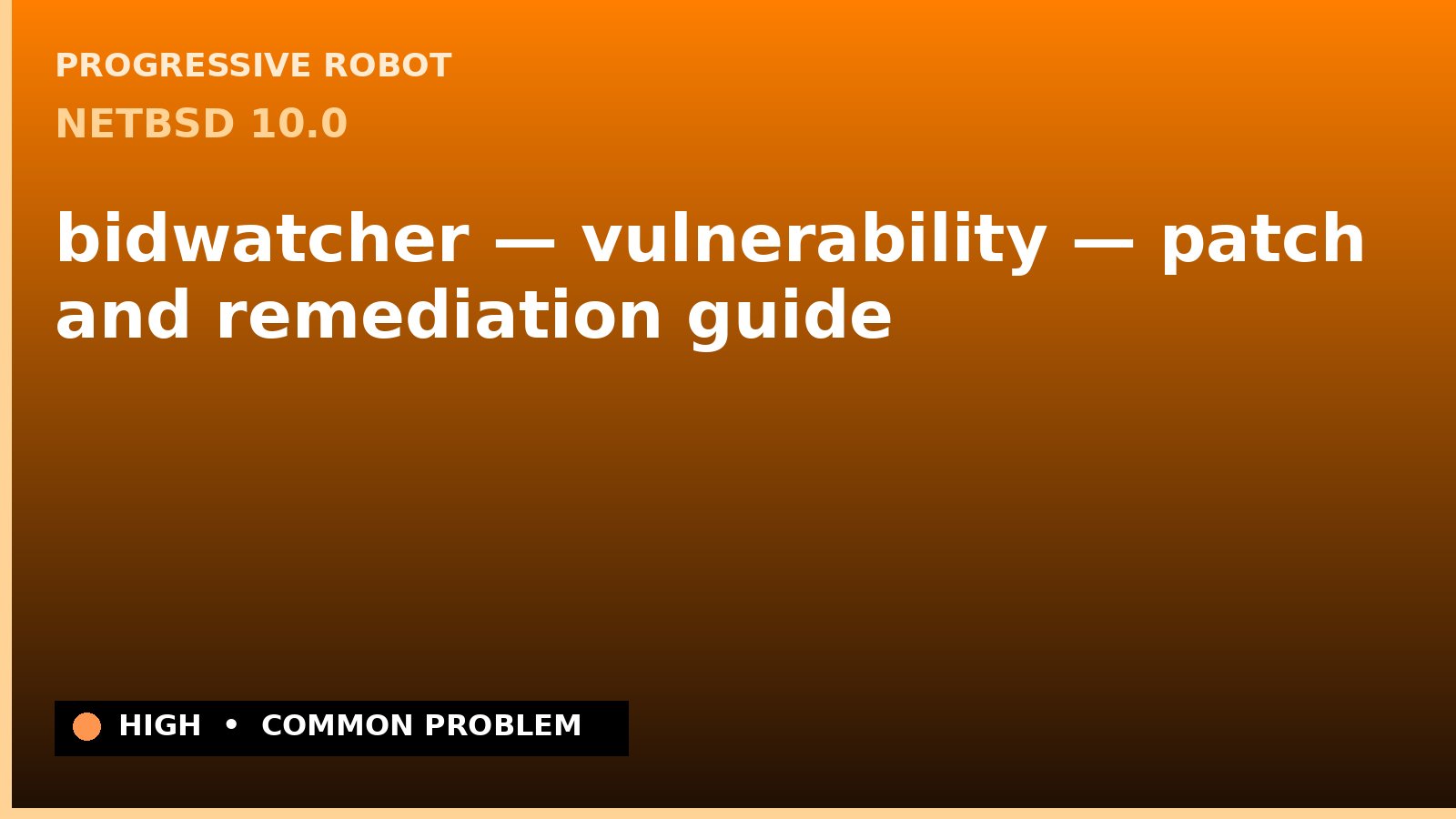 NetBSD 10.0 — bidwatcher — vulnerability — patch and remediation guide — diagnosis and fix on NetBSD 10.0