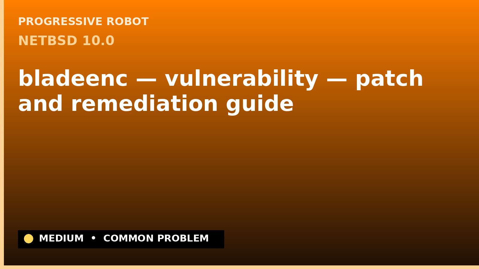 NetBSD 10.0 — bladeenc — vulnerability — patch and remediation guide — diagnosis and fix on NetBSD 10.0