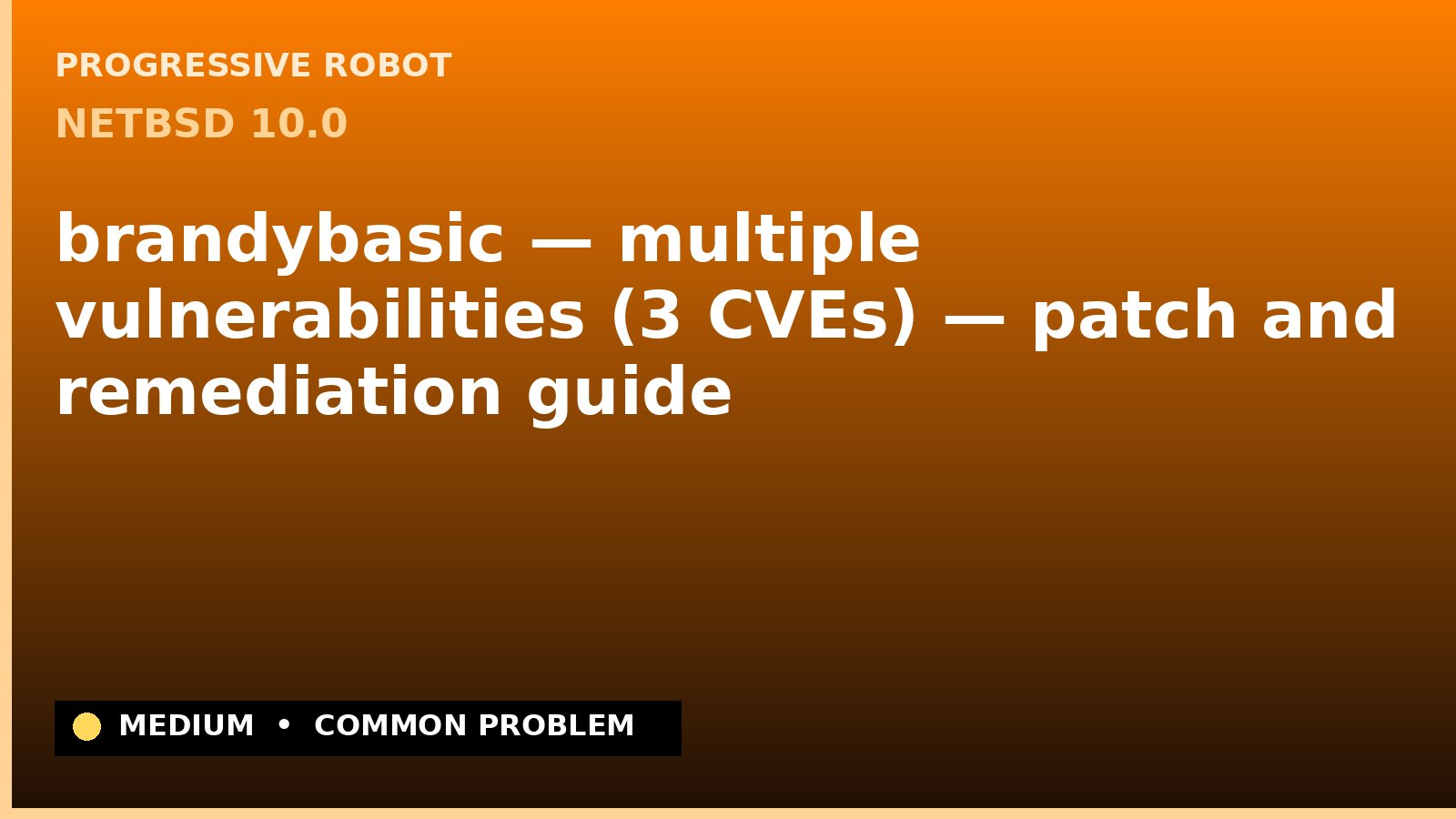 NetBSD 10.0 — brandybasic — multiple vulnerabilities (3 CVEs) — patch and remediation guide — diagnosis and fix on NetBSD 10.0