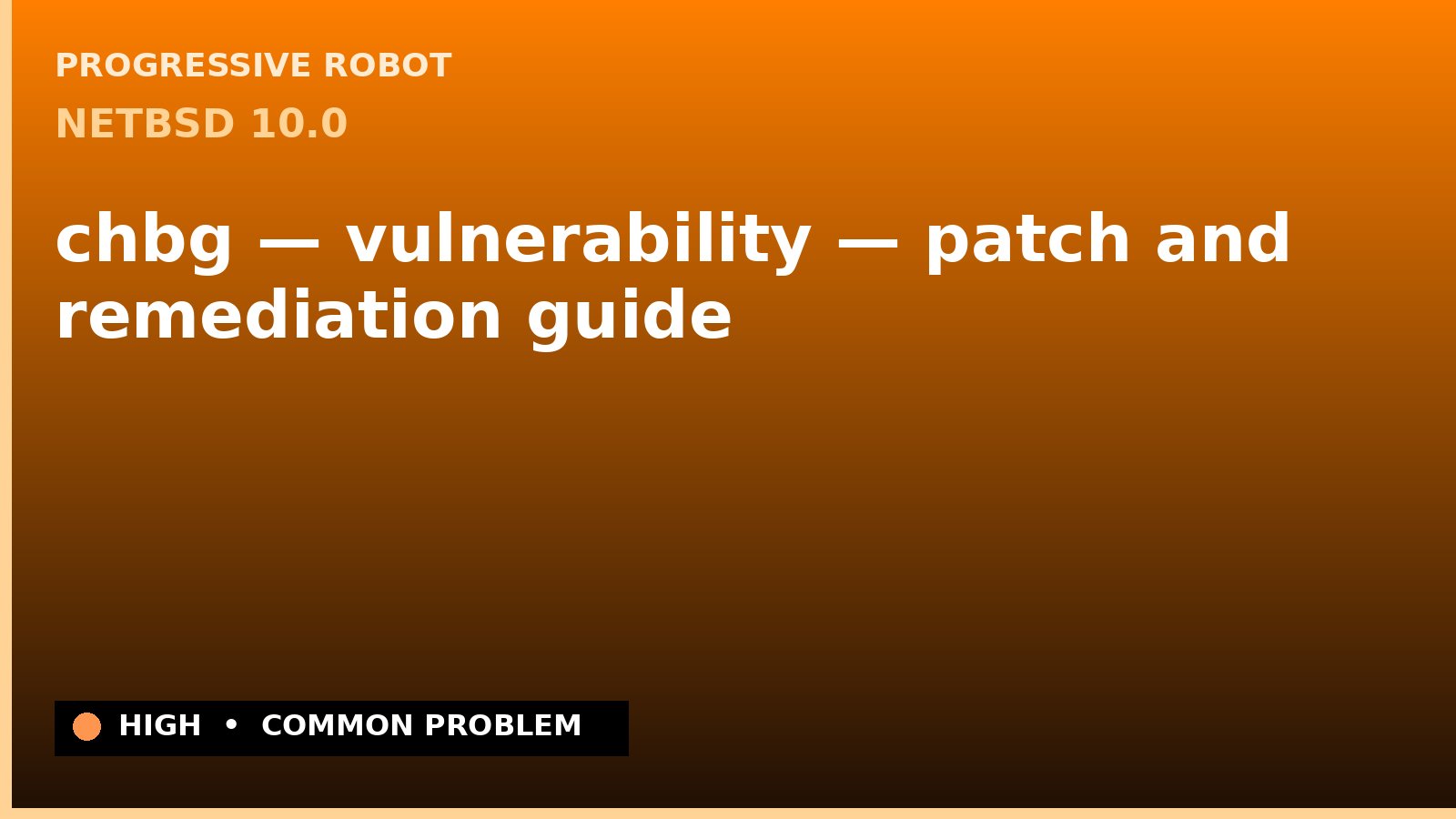 NetBSD 10.0 — chbg — vulnerability — patch and remediation guide — diagnosis and fix on NetBSD 10.0