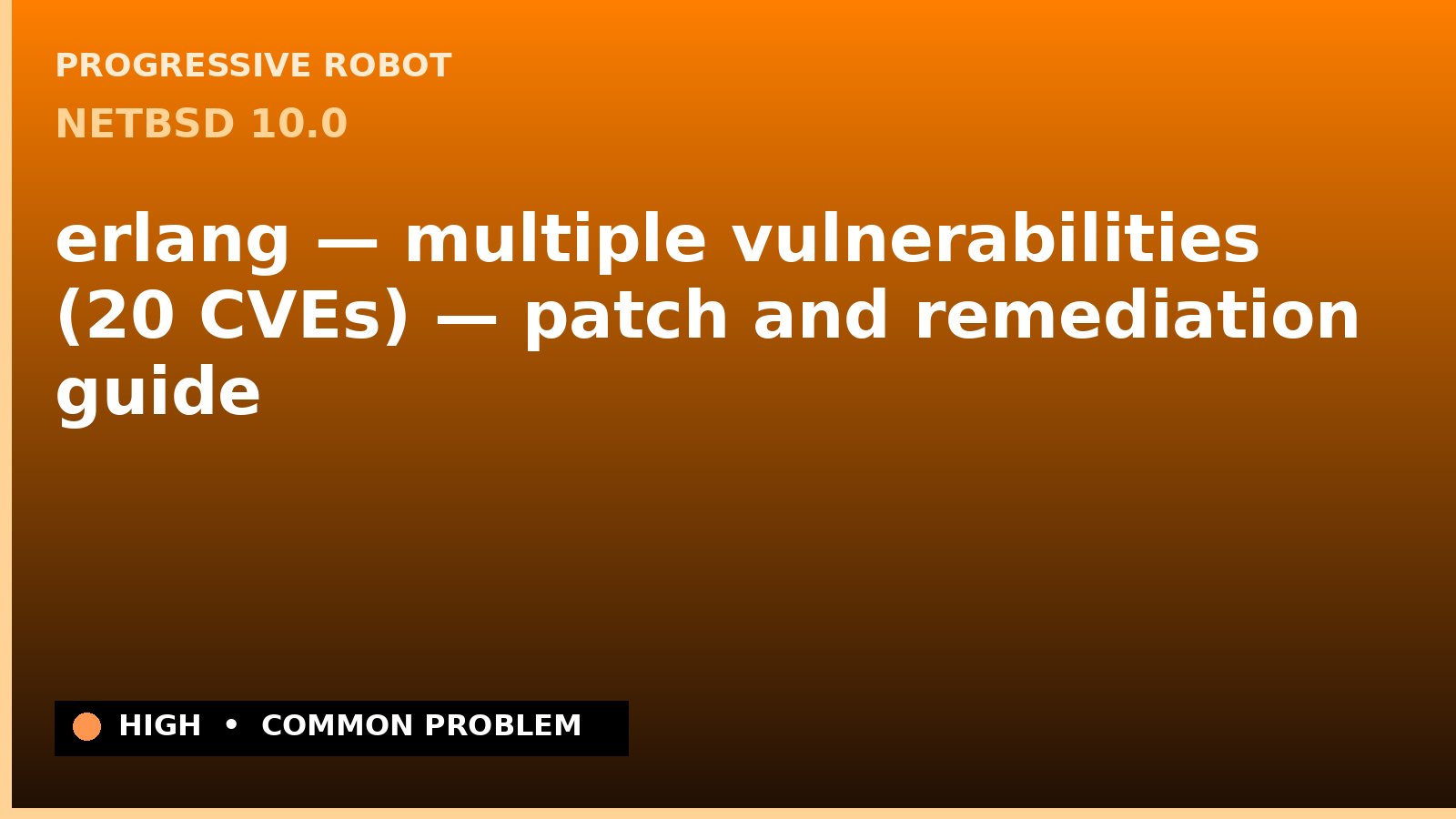 NetBSD 10.0 — erlang — multiple vulnerabilities (20 CVEs) — patch and remediation guide — diagnosis and fix on NetBSD 10.0