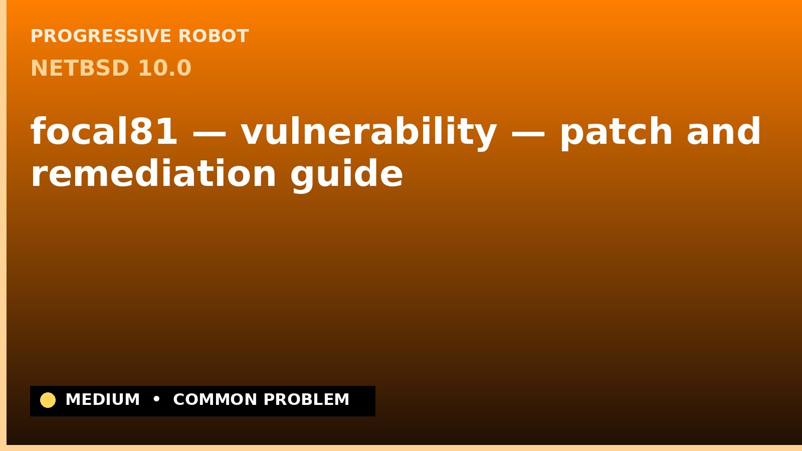 NetBSD 10.0 — focal81 — vulnerability — patch and remediation guide — diagnosis and fix on NetBSD 10.0