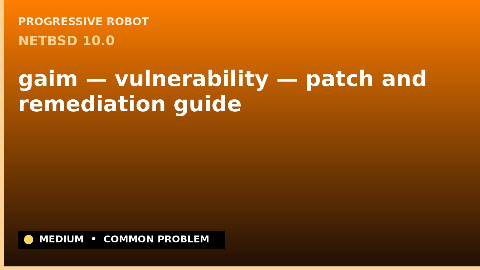 NetBSD 10.0 — gaim — vulnerability — patch and remediation guide — diagnosis and fix on NetBSD 10.0