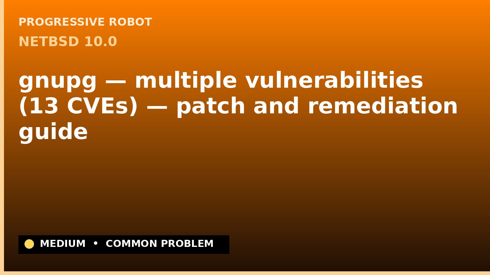 NetBSD 10.0 — gnupg — multiple vulnerabilities (13 CVEs) — patch and remediation guide — diagnosis and fix on NetBSD 10.0