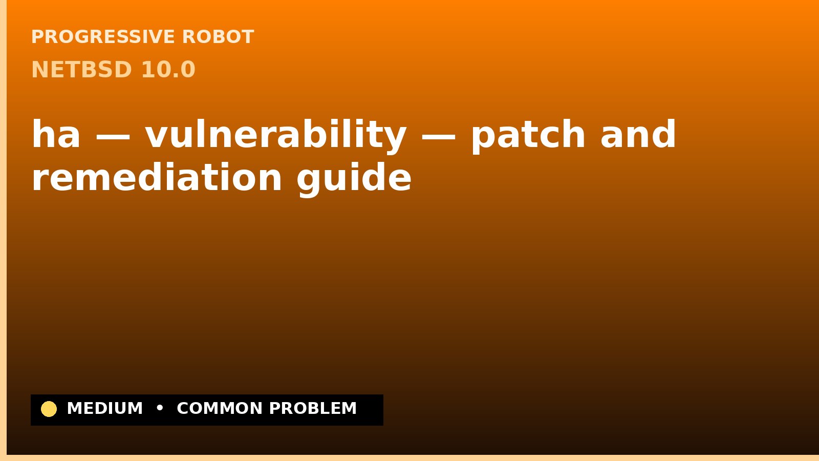 NetBSD 10.0 — ha — vulnerability — patch and remediation guide — diagnosis and fix on NetBSD 10.0