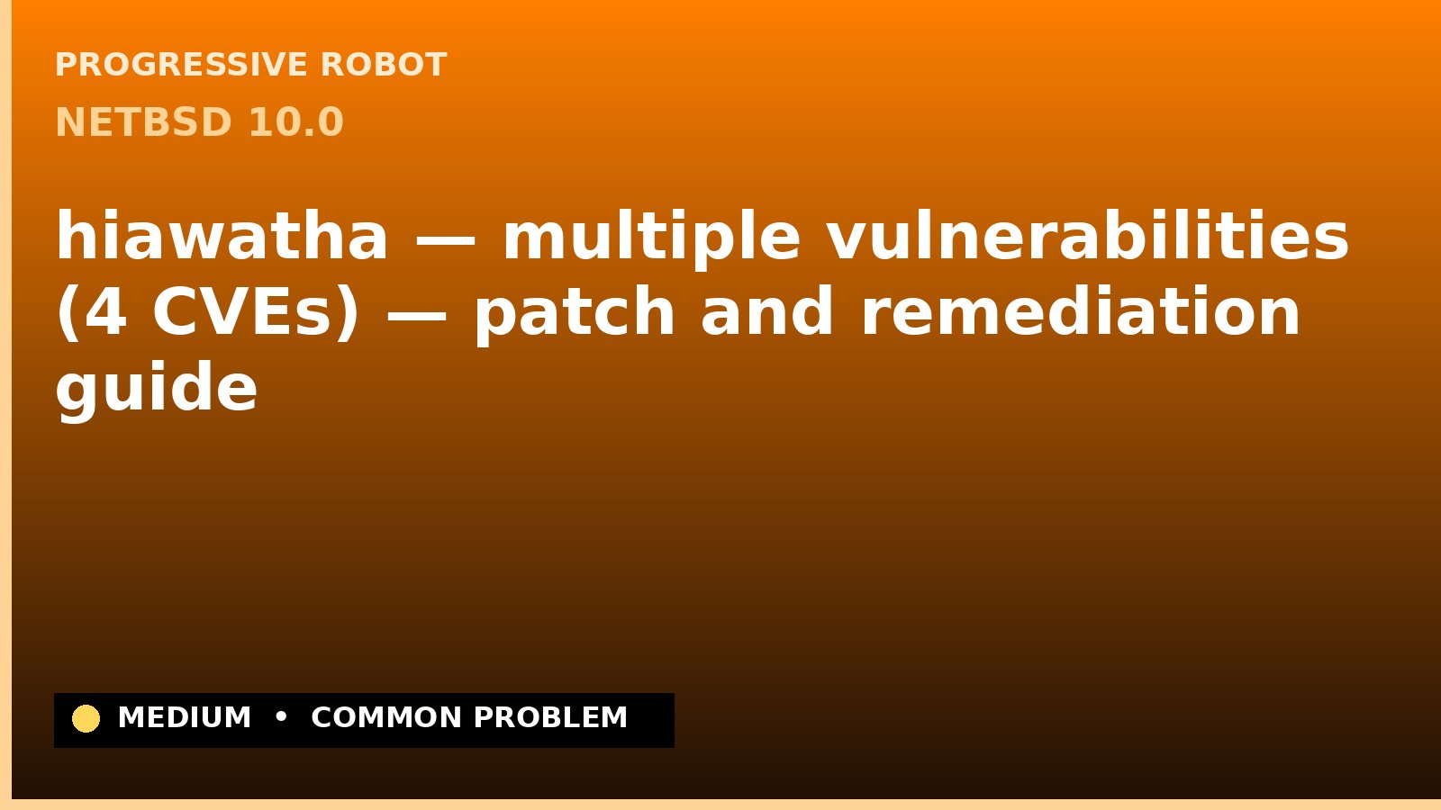 NetBSD 10.0 — hiawatha — multiple vulnerabilities (4 CVEs) — patch and remediation guide — diagnosis and fix on NetBSD 10.0
