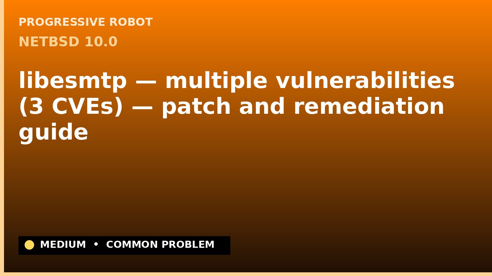 NetBSD 10.0 — libesmtp — multiple vulnerabilities (3 CVEs) — patch and remediation guide — diagnosis and fix on NetBSD 10.0
