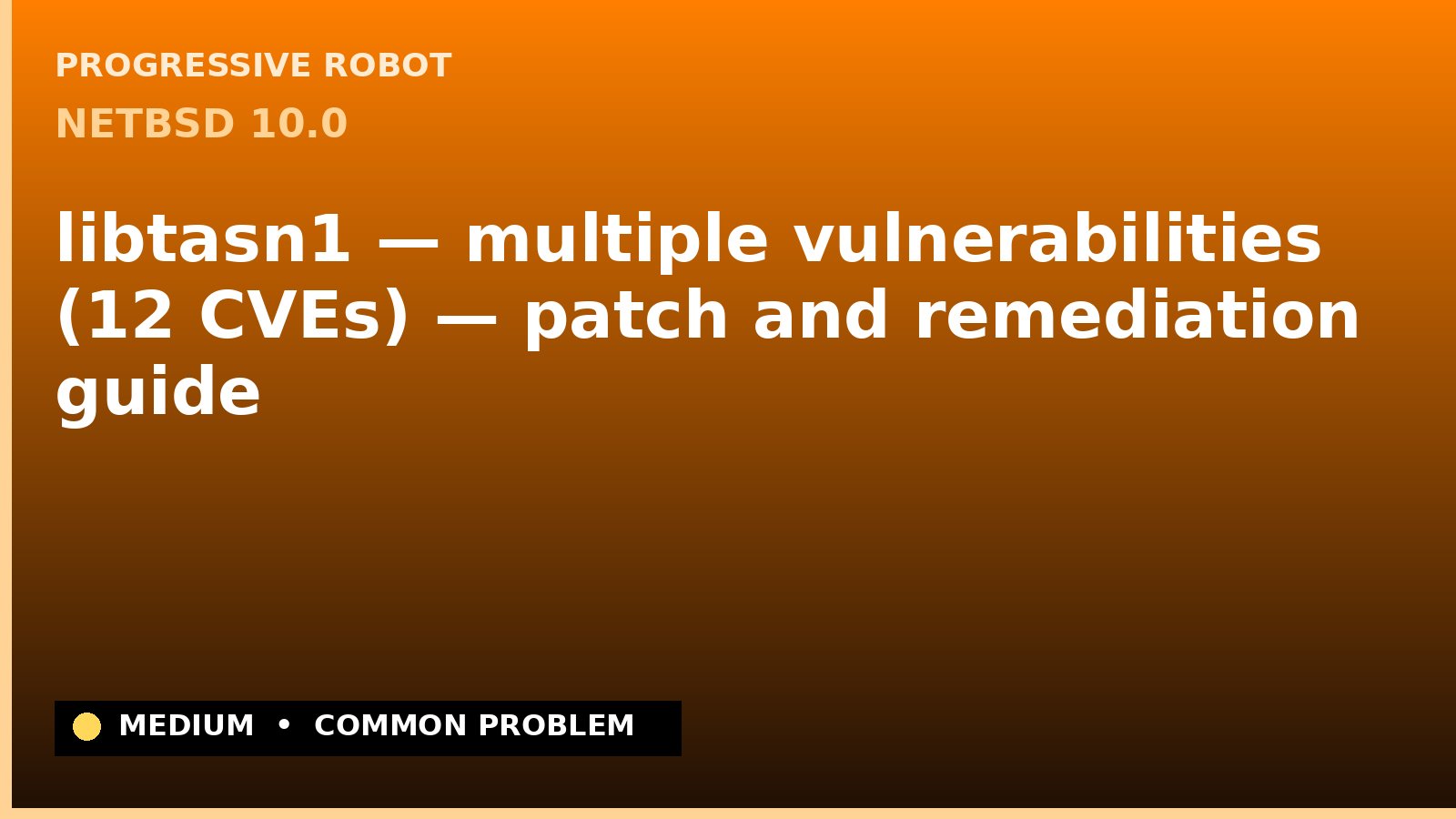 NetBSD 10.0 — libtasn1 — multiple vulnerabilities (12 CVEs) — patch and remediation guide — diagnosis and fix on NetBSD 10.0