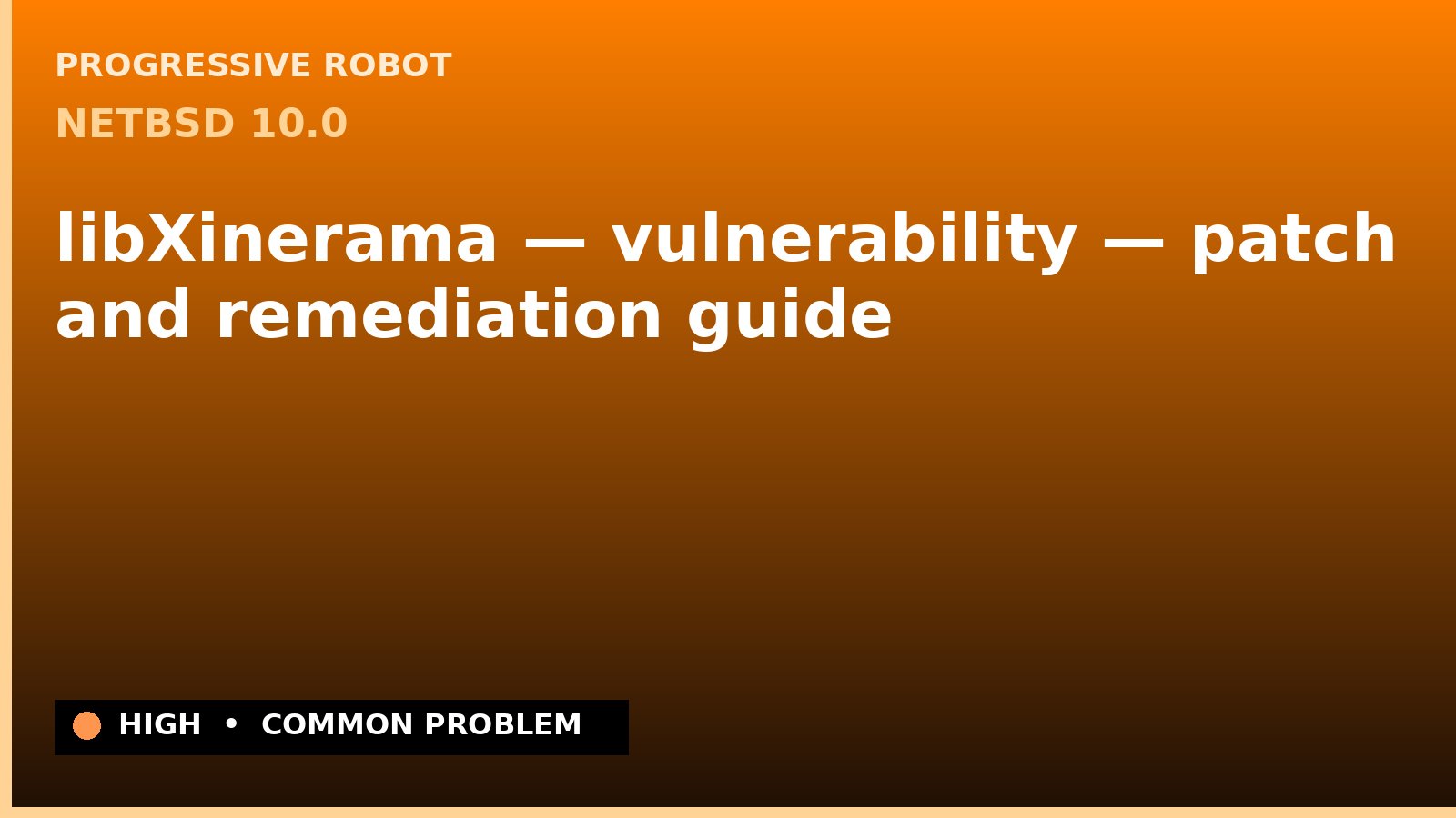 NetBSD 10.0 — libXinerama — vulnerability — patch and remediation guide — diagnosis and fix on NetBSD 10.0