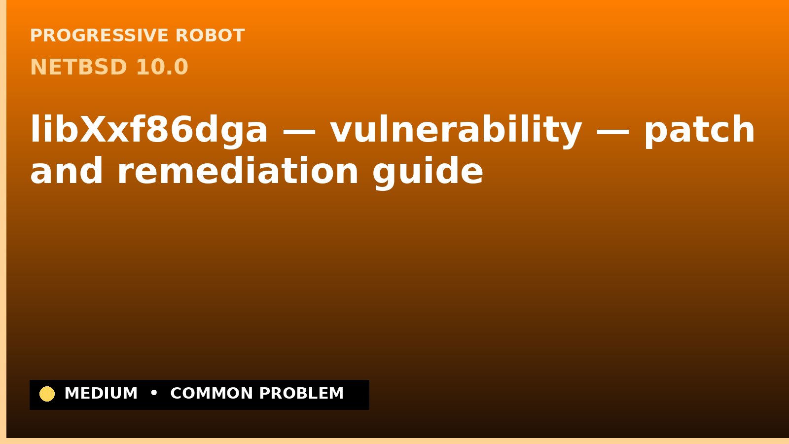 NetBSD 10.0 — libXxf86dga — vulnerability — patch and remediation guide — diagnosis and fix on NetBSD 10.0