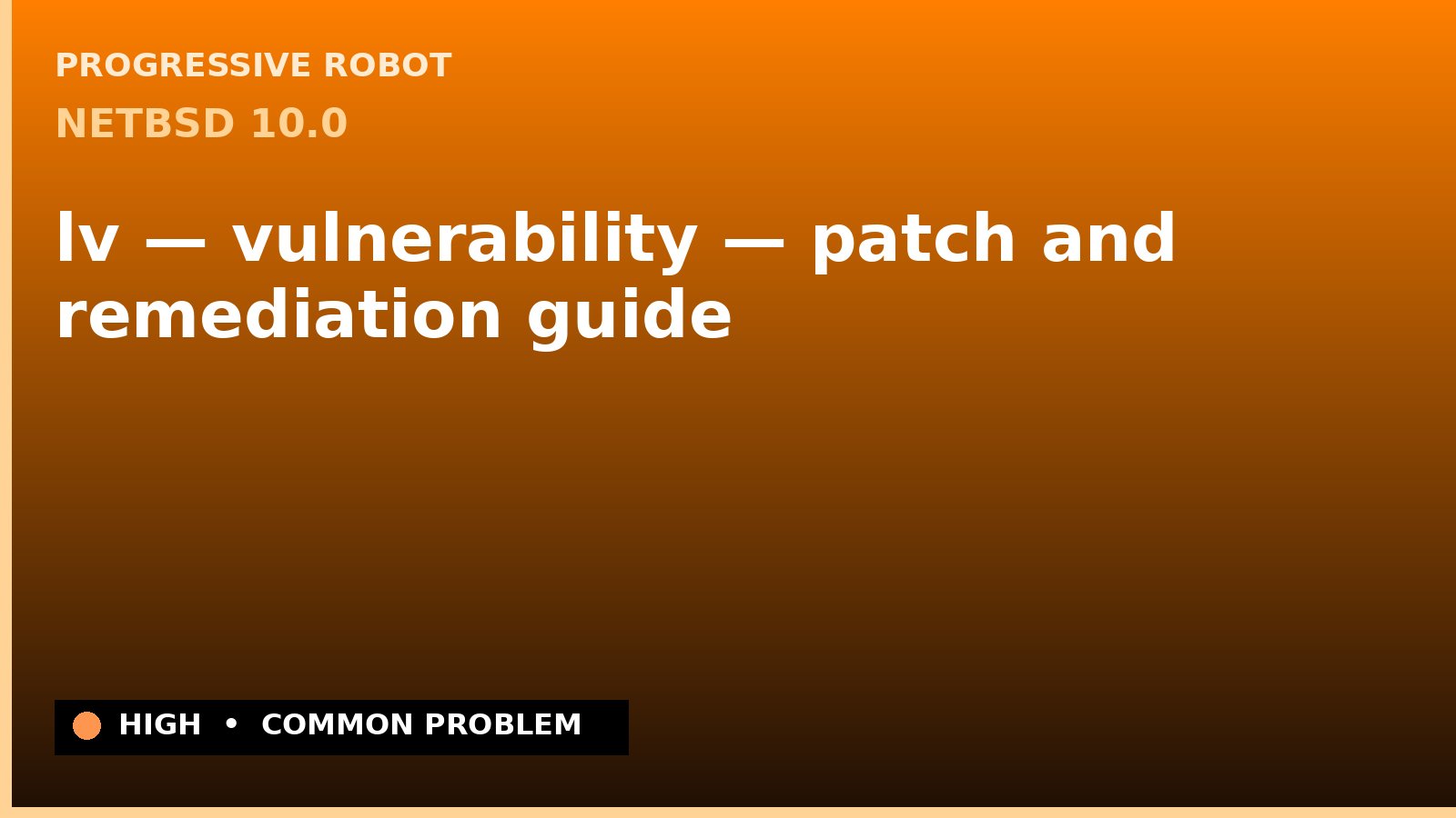 NetBSD 10.0 — lv — vulnerability — patch and remediation guide — diagnosis and fix on NetBSD 10.0