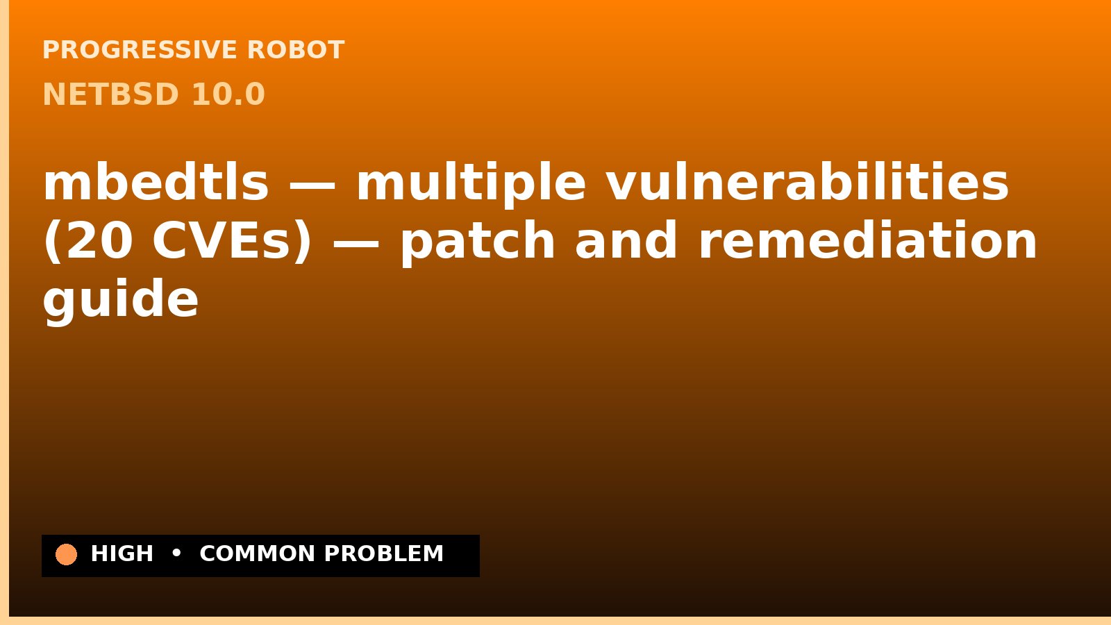 NetBSD 10.0 — mbedtls — multiple vulnerabilities (20 CVEs) — patch and remediation guide — diagnosis and fix on NetBSD 10.0