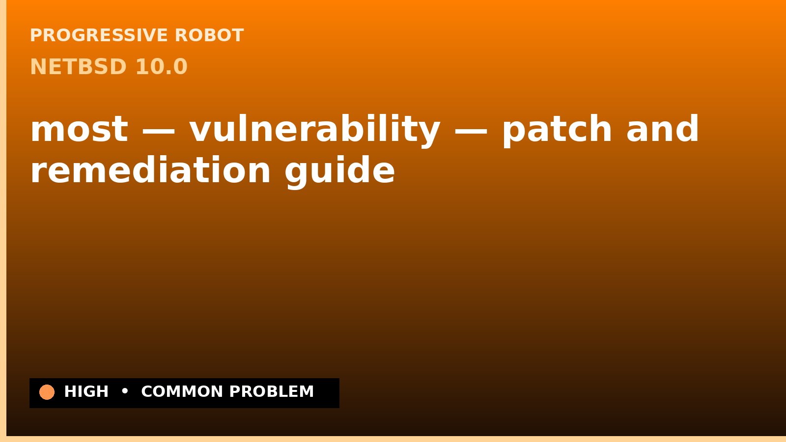 NetBSD 10.0 — most — vulnerability — patch and remediation guide — diagnosis and fix on NetBSD 10.0