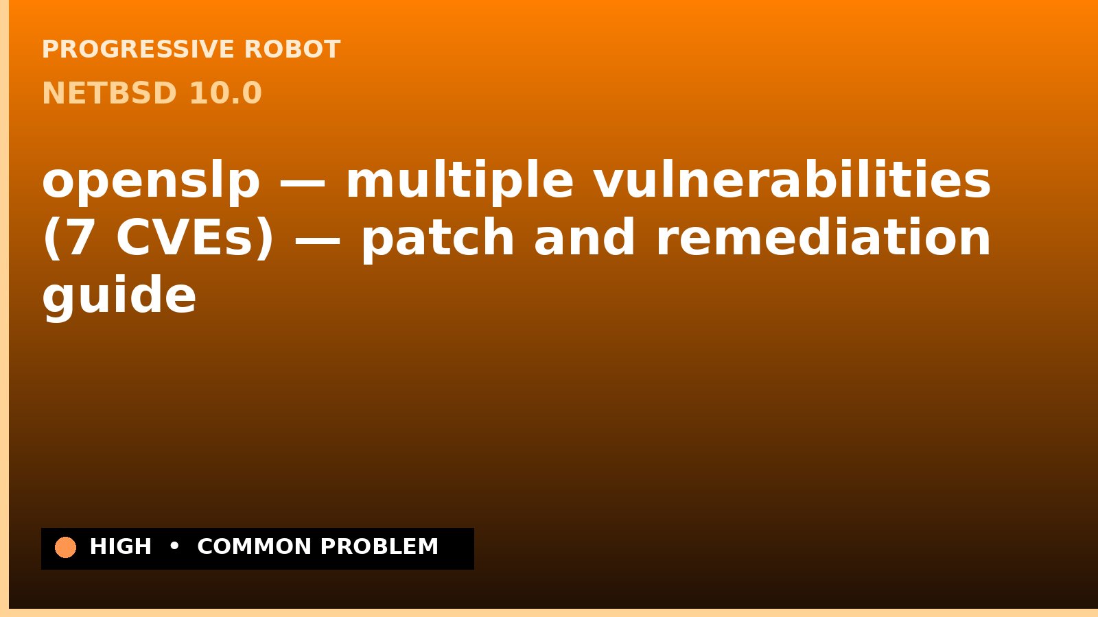 NetBSD 10.0 — openslp — multiple vulnerabilities (7 CVEs) — patch and remediation guide — diagnosis and fix on NetBSD 10.0