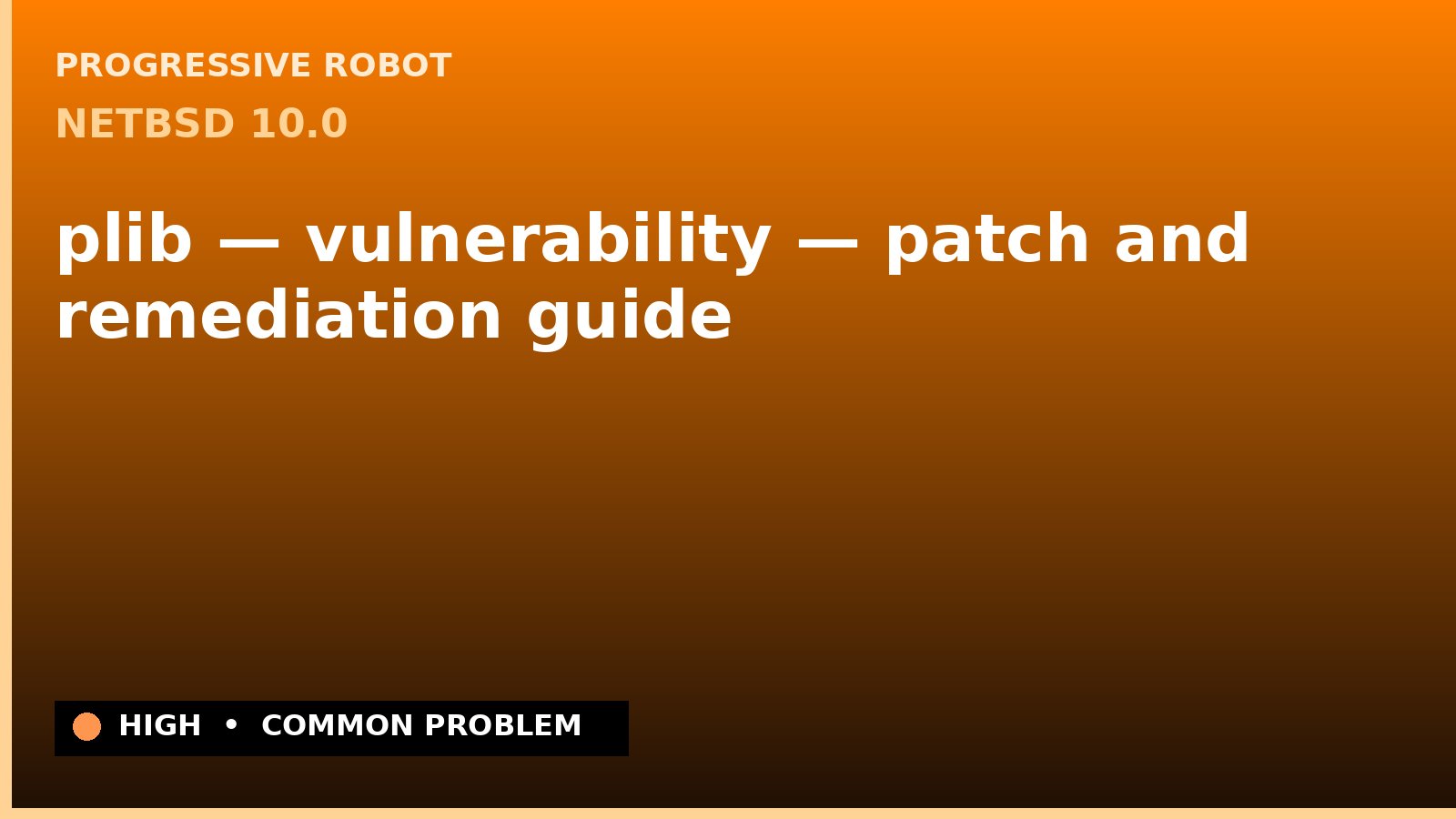 NetBSD 10.0 — plib — vulnerability — patch and remediation guide — diagnosis and fix on NetBSD 10.0