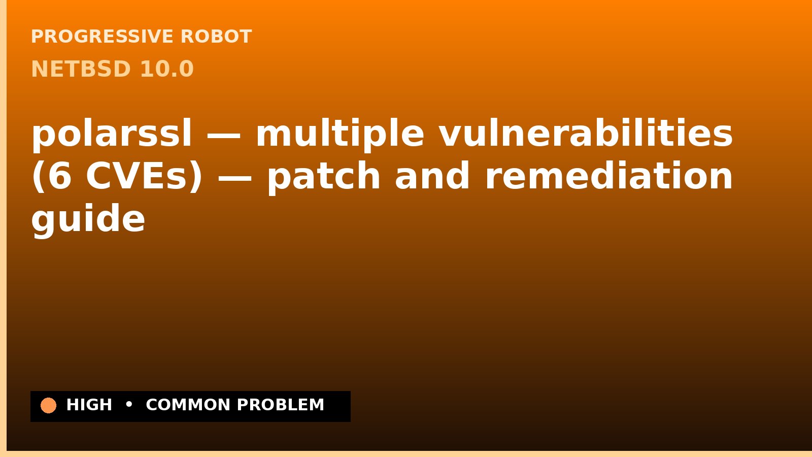 NetBSD 10.0 — polarssl — multiple vulnerabilities (6 CVEs) — patch and remediation guide — diagnosis and fix on NetBSD 10.0