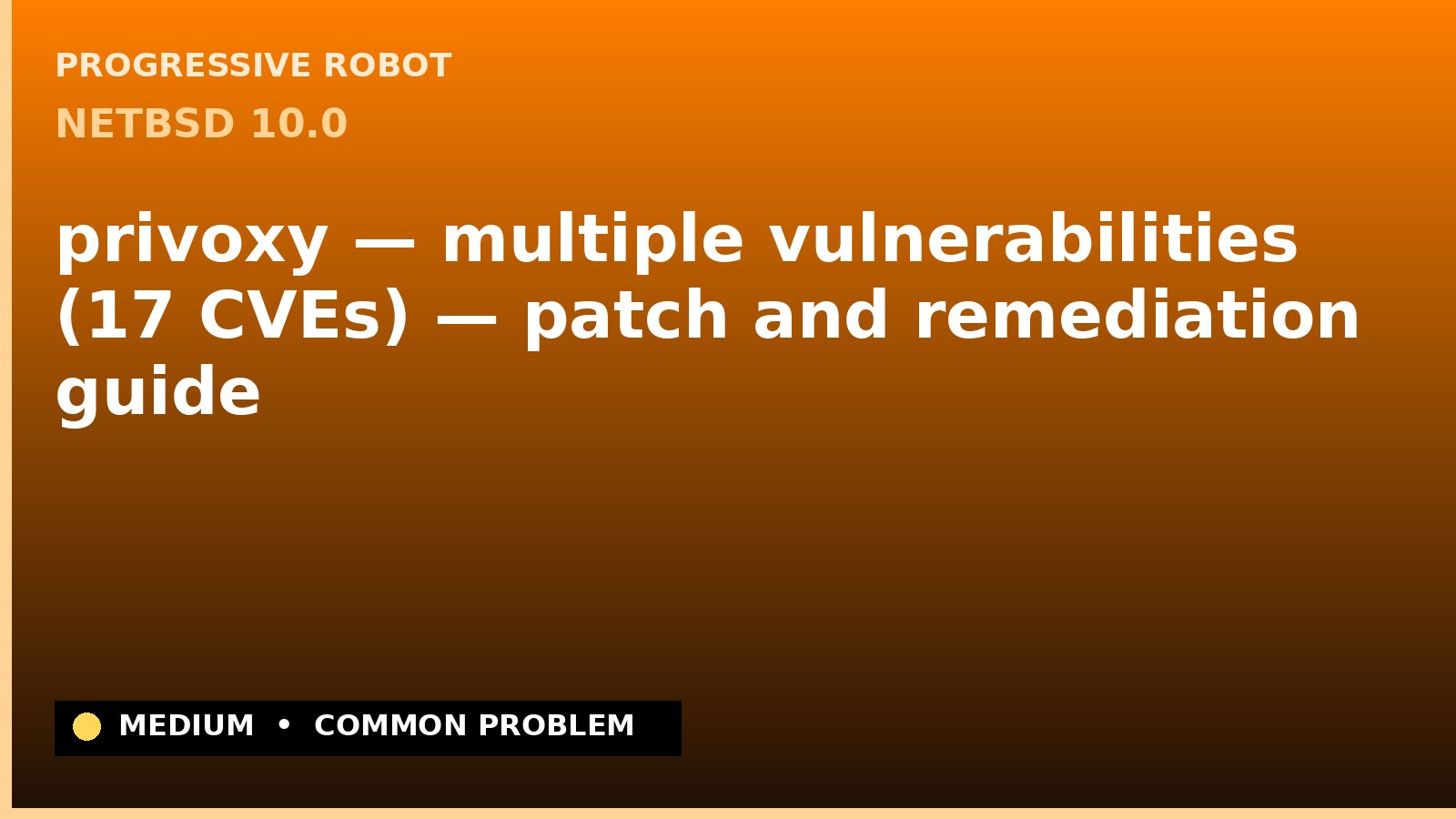 NetBSD 10.0 — privoxy — multiple vulnerabilities (17 CVEs) — patch and remediation guide — diagnosis and fix on NetBSD 10.0