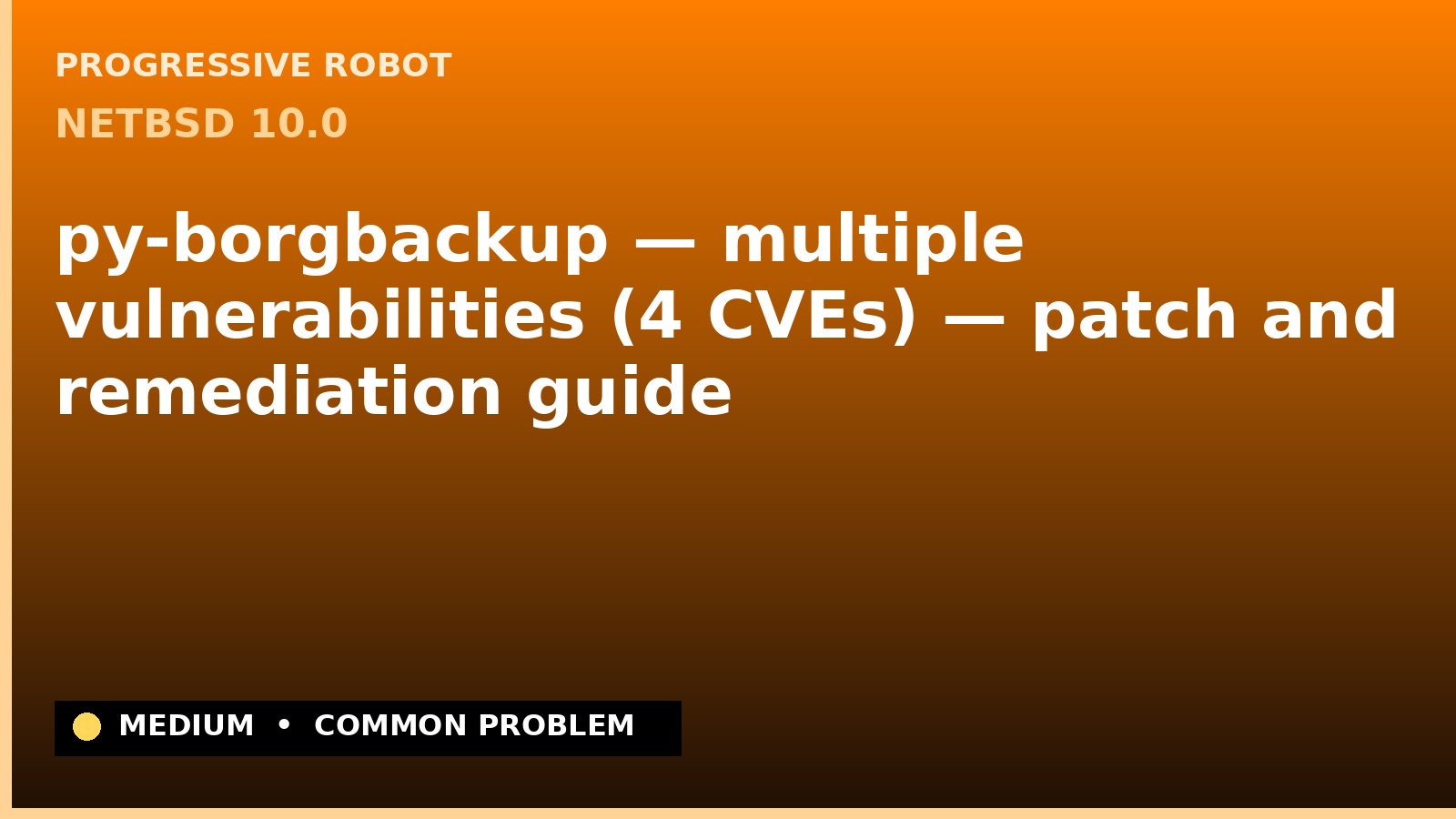 NetBSD 10.0 — py-borgbackup — multiple vulnerabilities (4 CVEs) — patch and remediation guide — diagnosis and fix on NetBSD 10.0