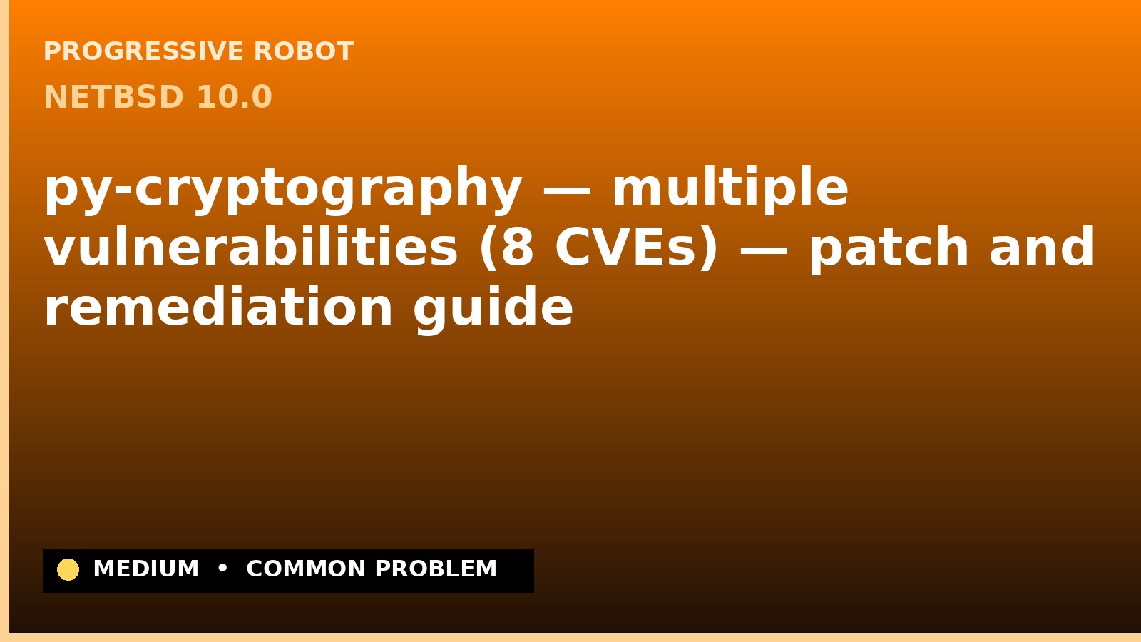 NetBSD 10.0 — py-cryptography — multiple vulnerabilities (8 CVEs) — patch and remediation guide — diagnosis and fix on NetBSD 10.0
