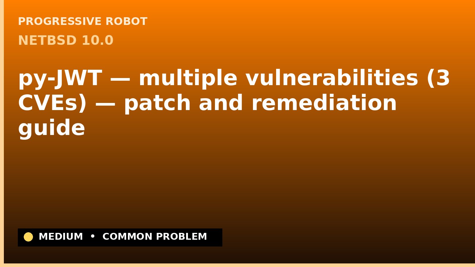 NetBSD 10.0 — py-JWT — multiple vulnerabilities (3 CVEs) — patch and remediation guide — diagnosis and fix on NetBSD 10.0
