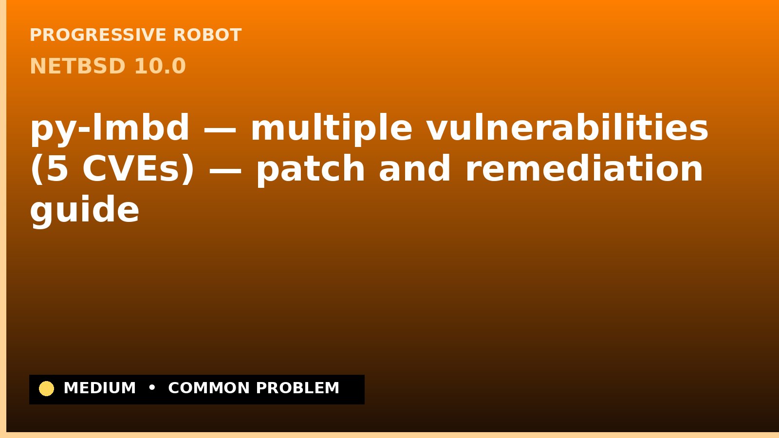 NetBSD 10.0 — py-lmbd — multiple vulnerabilities (5 CVEs) — patch and remediation guide — diagnosis and fix on NetBSD 10.0