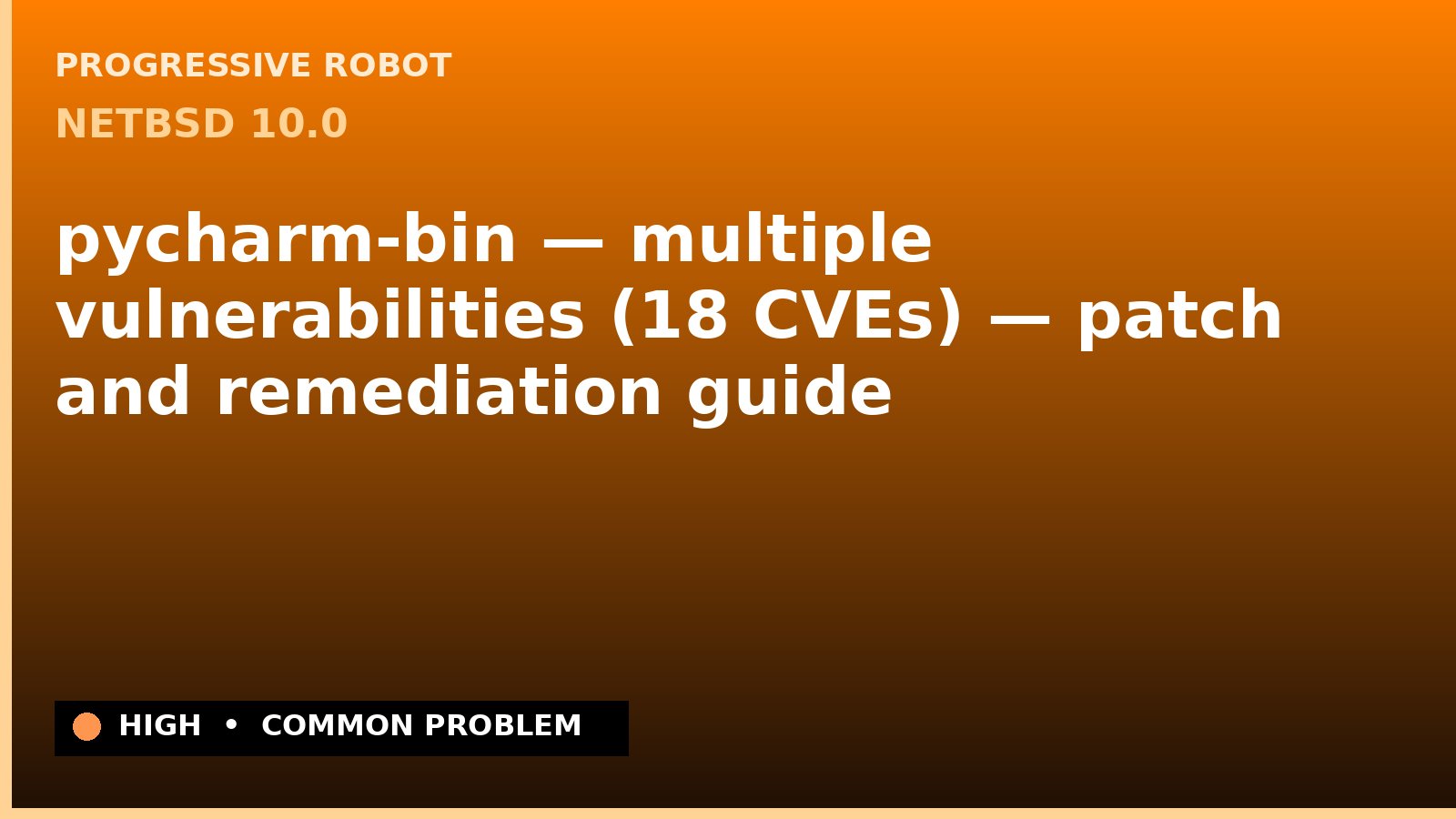 NetBSD 10.0 — pycharm-bin — multiple vulnerabilities (18 CVEs) — patch and remediation guide — diagnosis and fix on NetBSD 10.0