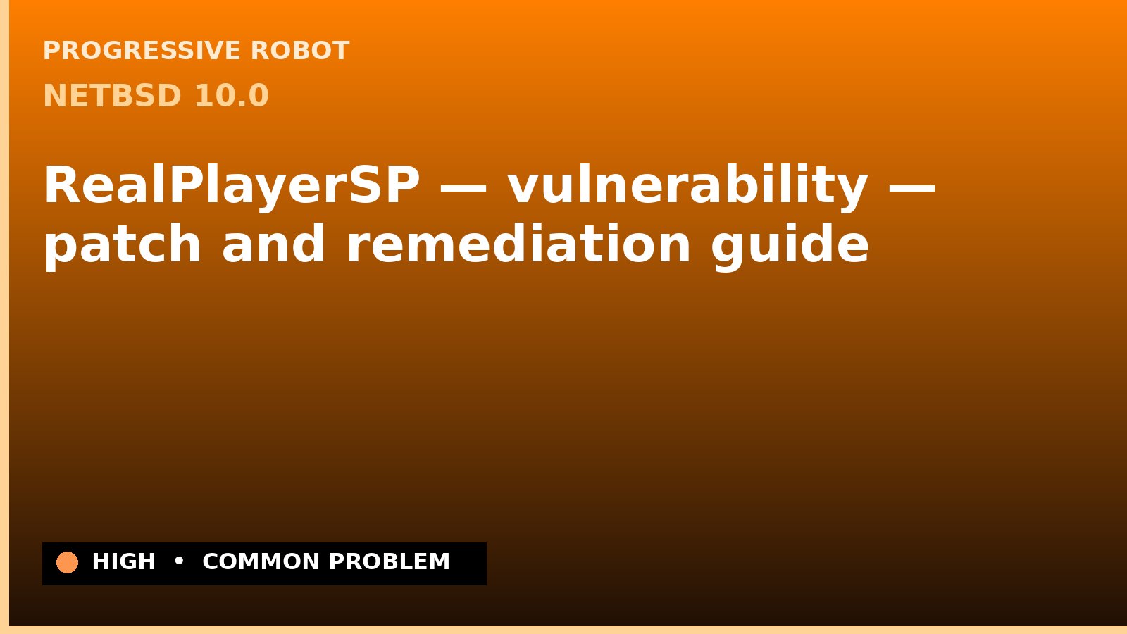 NetBSD 10.0 — RealPlayerSP — vulnerability — patch and remediation guide — diagnosis and fix on NetBSD 10.0