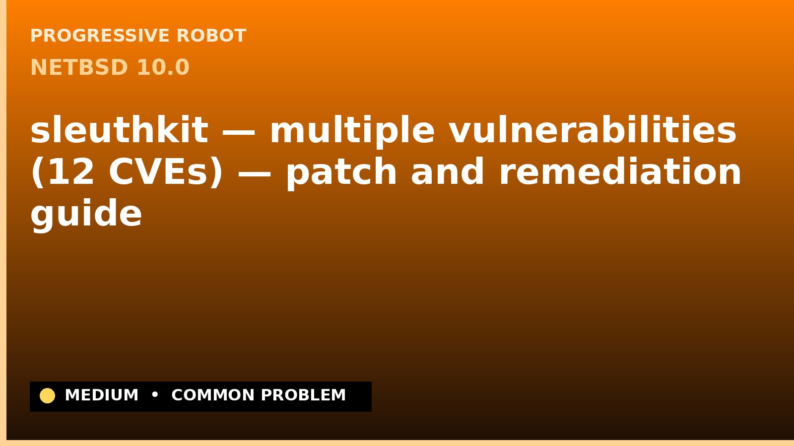 NetBSD 10.0 — sleuthkit — multiple vulnerabilities (12 CVEs) — patch and remediation guide — diagnosis and fix on NetBSD 10.0