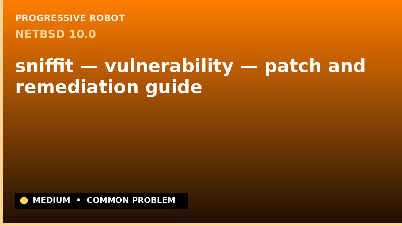 NetBSD 10.0 — sniffit — vulnerability — patch and remediation guide — diagnosis and fix on NetBSD 10.0