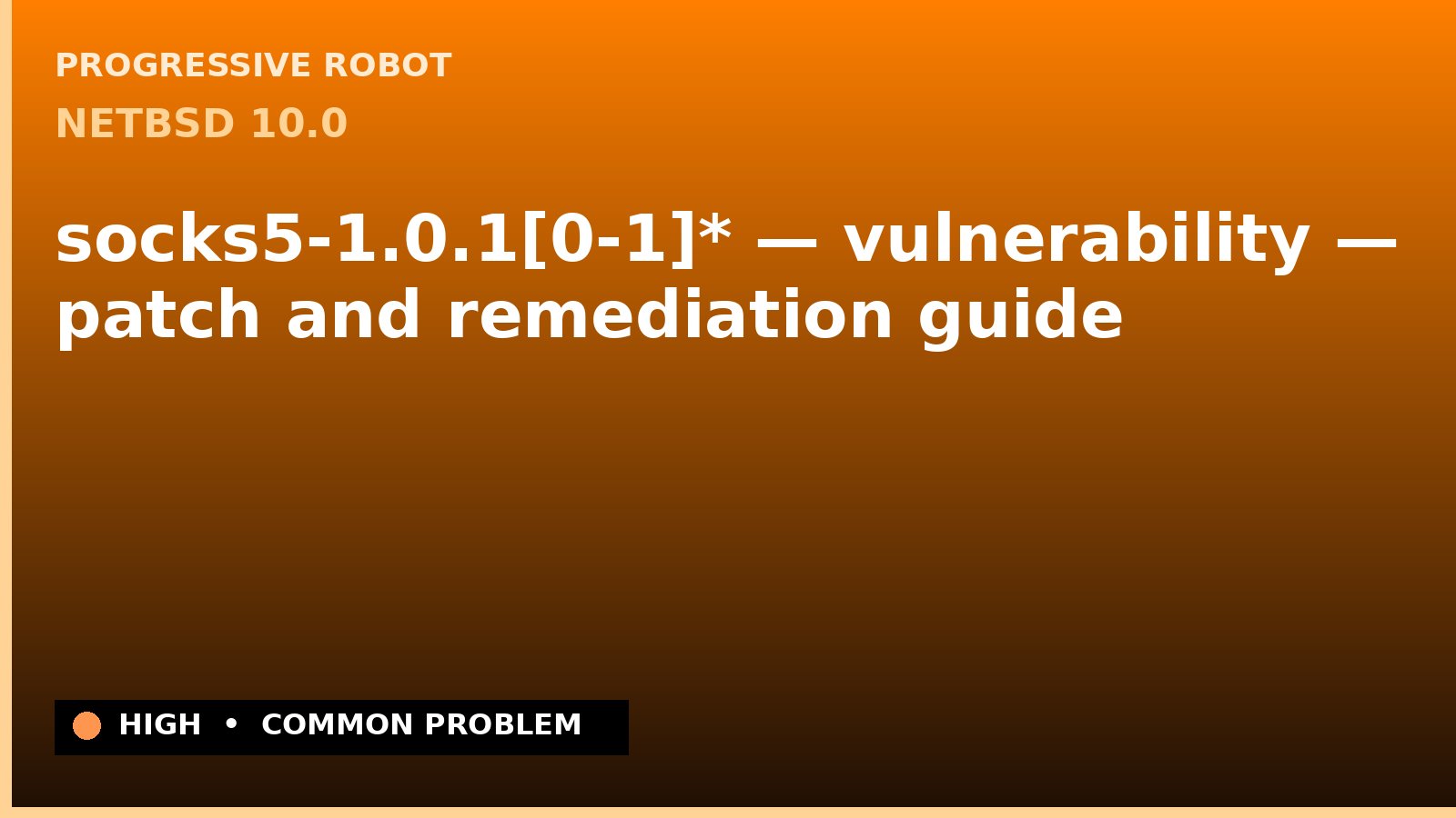 NetBSD 10.0 — socks5-1.0.1[0-1]* — vulnerability — patch and remediation guide — diagnosis and fix on NetBSD 10.0