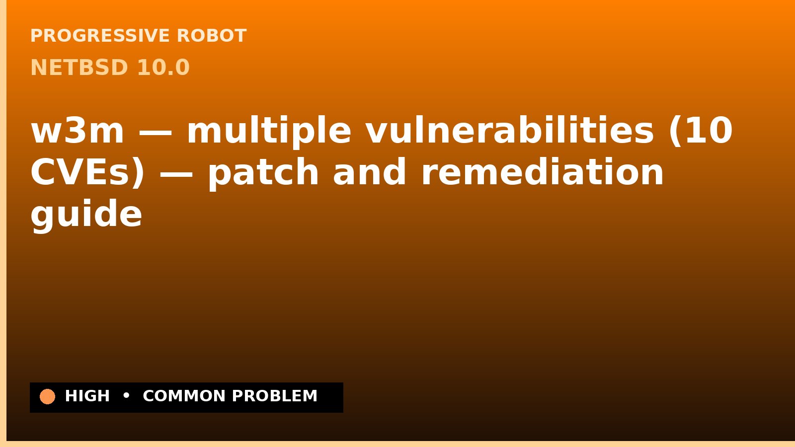 NetBSD 10.0 — w3m — multiple vulnerabilities (10 CVEs) — patch and remediation guide — diagnosis and fix on NetBSD 10.0