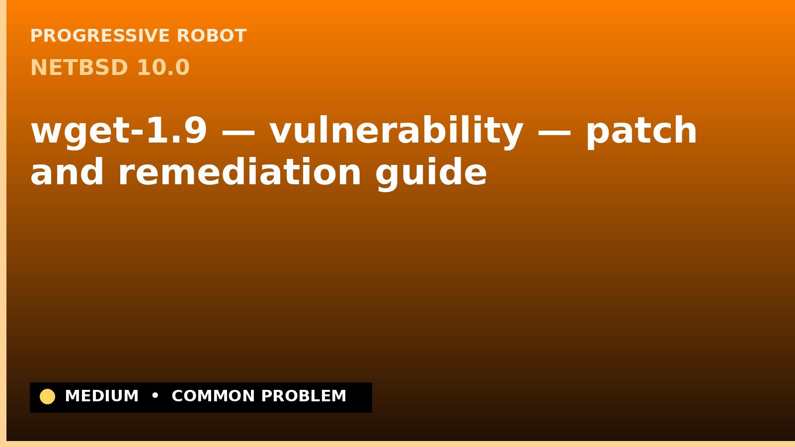 NetBSD 10.0 — wget-1.9 — vulnerability — patch and remediation guide — diagnosis and fix on NetBSD 10.0