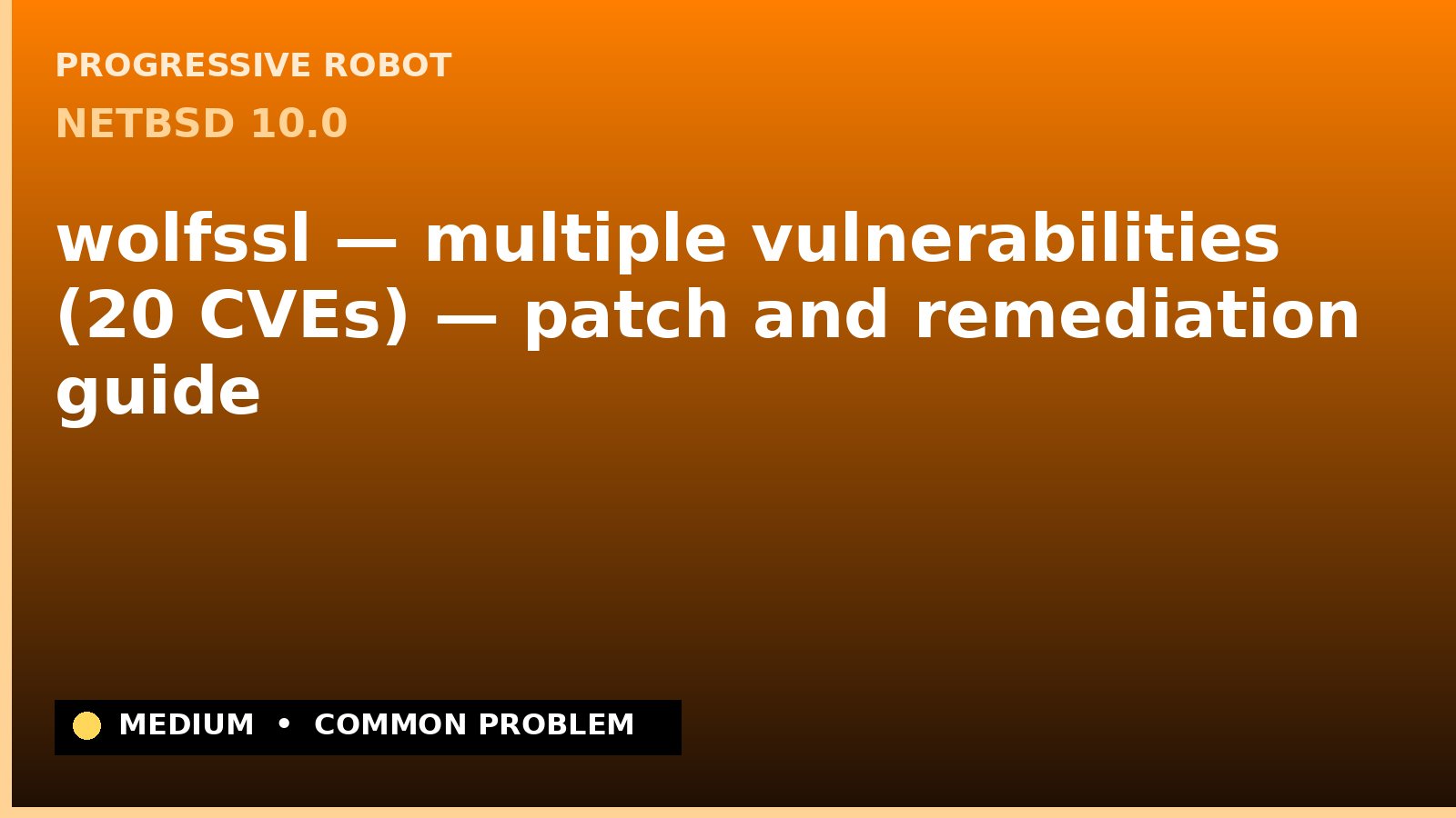 NetBSD 10.0 — wolfssl — multiple vulnerabilities (20 CVEs) — patch and remediation guide — diagnosis and fix on NetBSD 10.0