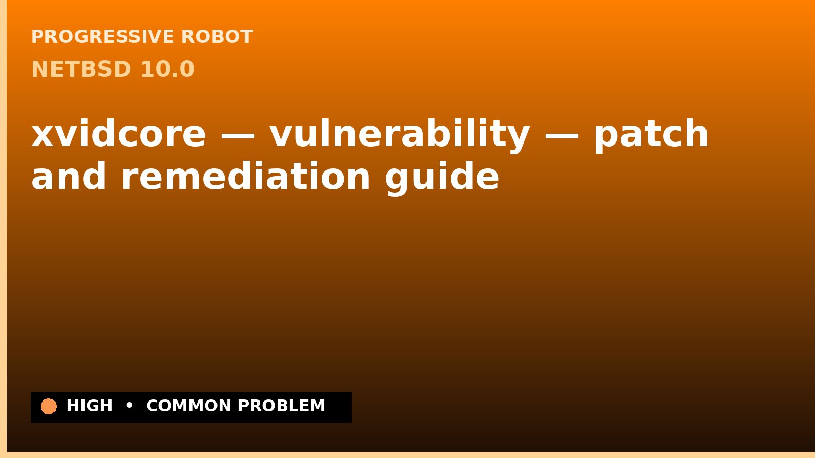 NetBSD 10.0 — xvidcore — vulnerability — patch and remediation guide — diagnosis and fix on NetBSD 10.0
