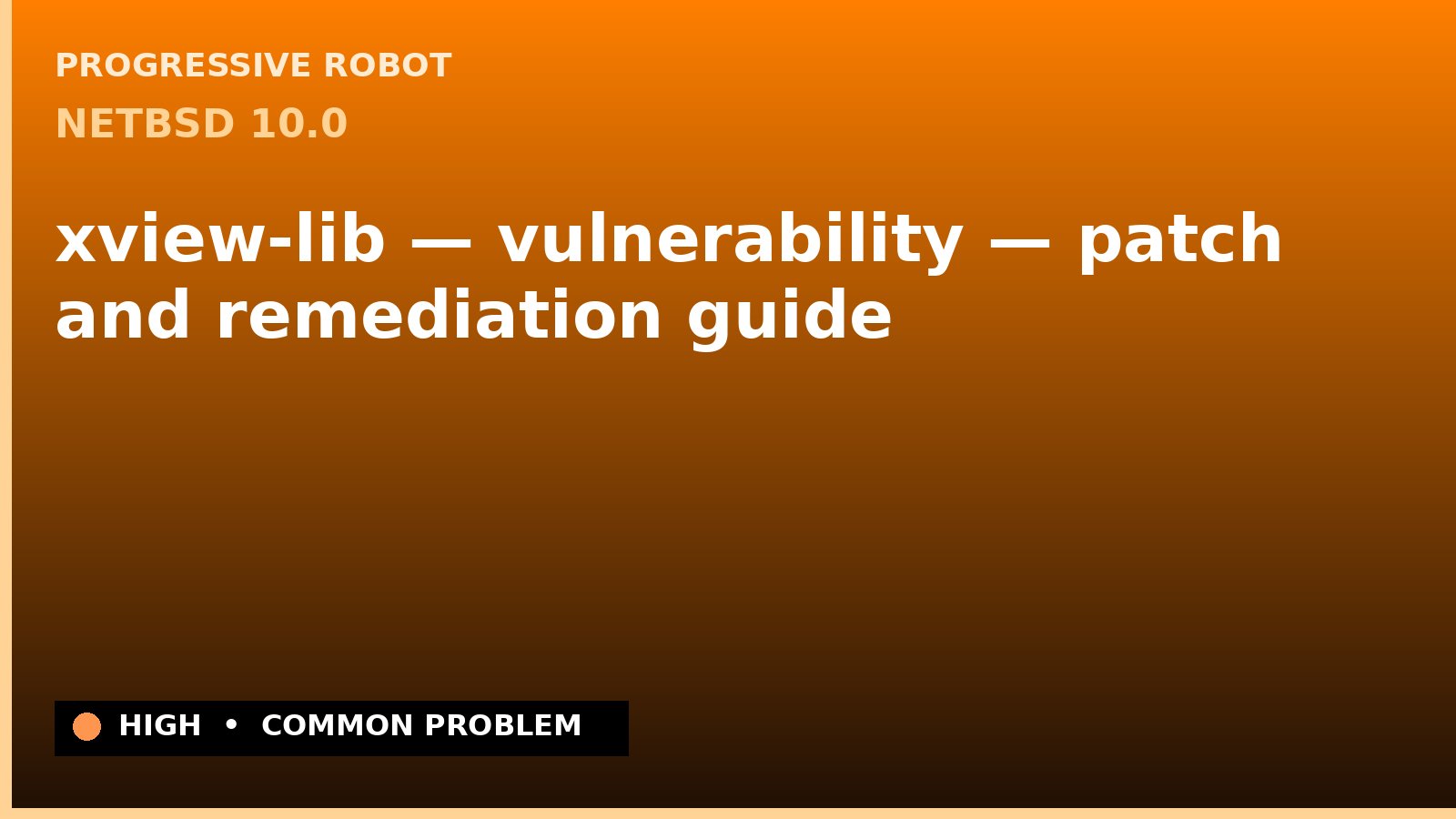 NetBSD 10.0 — xview-lib — vulnerability — patch and remediation guide — diagnosis and fix on NetBSD 10.0