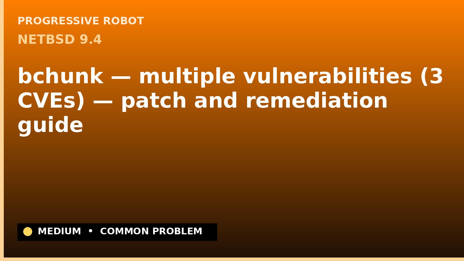 NetBSD 9.4 — bchunk — multiple vulnerabilities (3 CVEs) — patch and remediation guide — diagnosis and fix on NetBSD 9.4