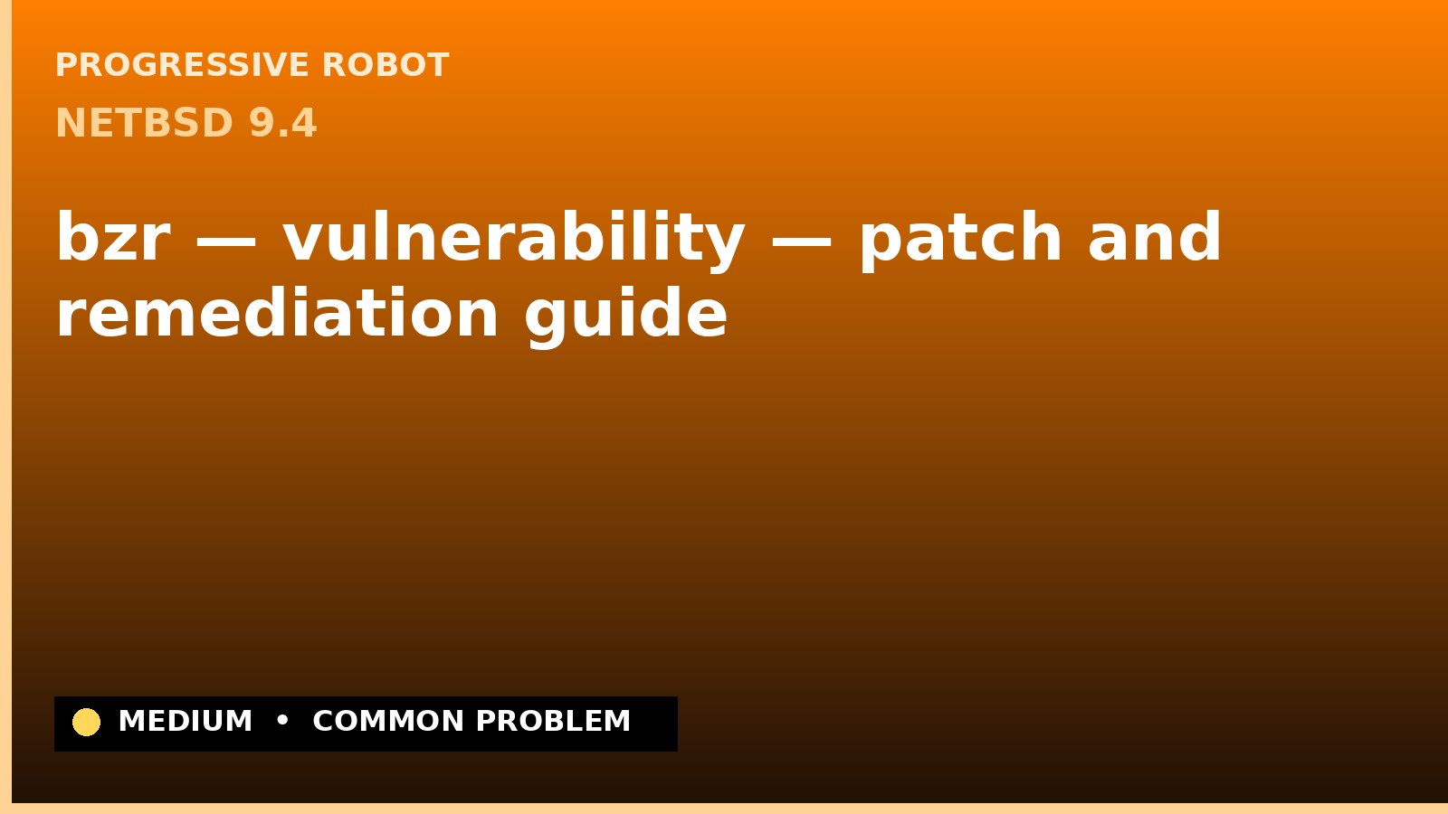 NetBSD 9.4 — bzr — vulnerability — patch and remediation guide — diagnosis and fix on NetBSD 9.4