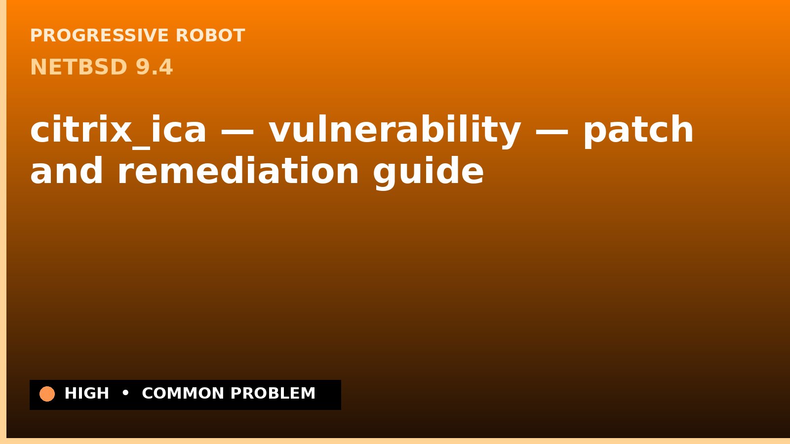 NetBSD 9.4 — citrix_ica — vulnerability — patch and remediation guide — diagnosis and fix on NetBSD 9.4