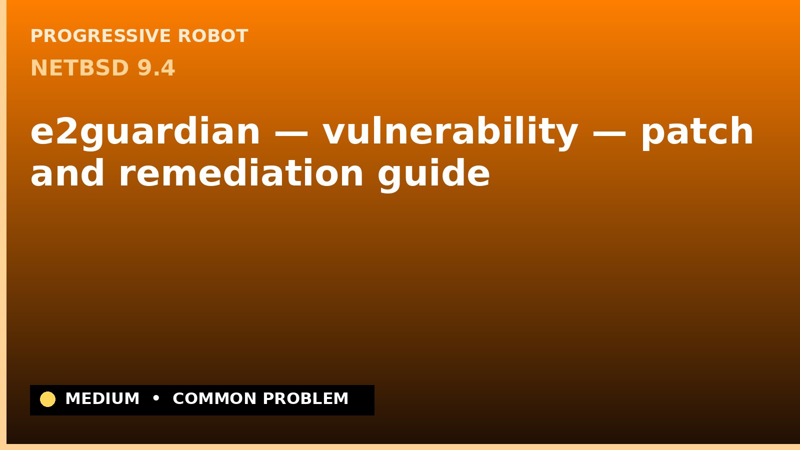 NetBSD 9.4 — e2guardian — vulnerability — patch and remediation guide — diagnosis and fix on NetBSD 9.4