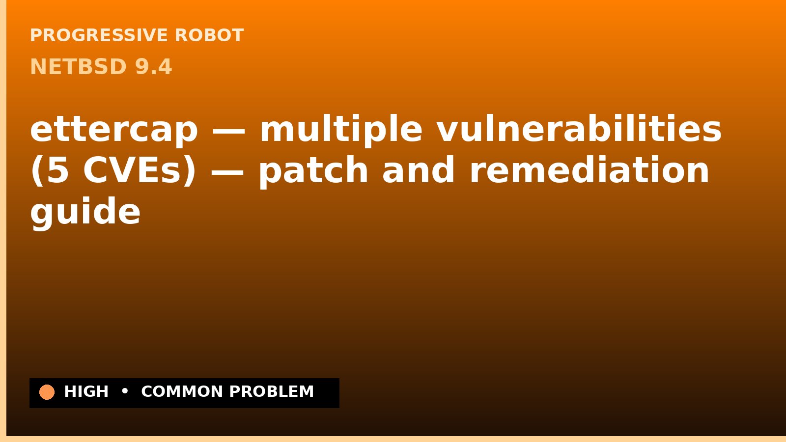NetBSD 9.4 — ettercap — multiple vulnerabilities (5 CVEs) — patch and remediation guide — diagnosis and fix on NetBSD 9.4