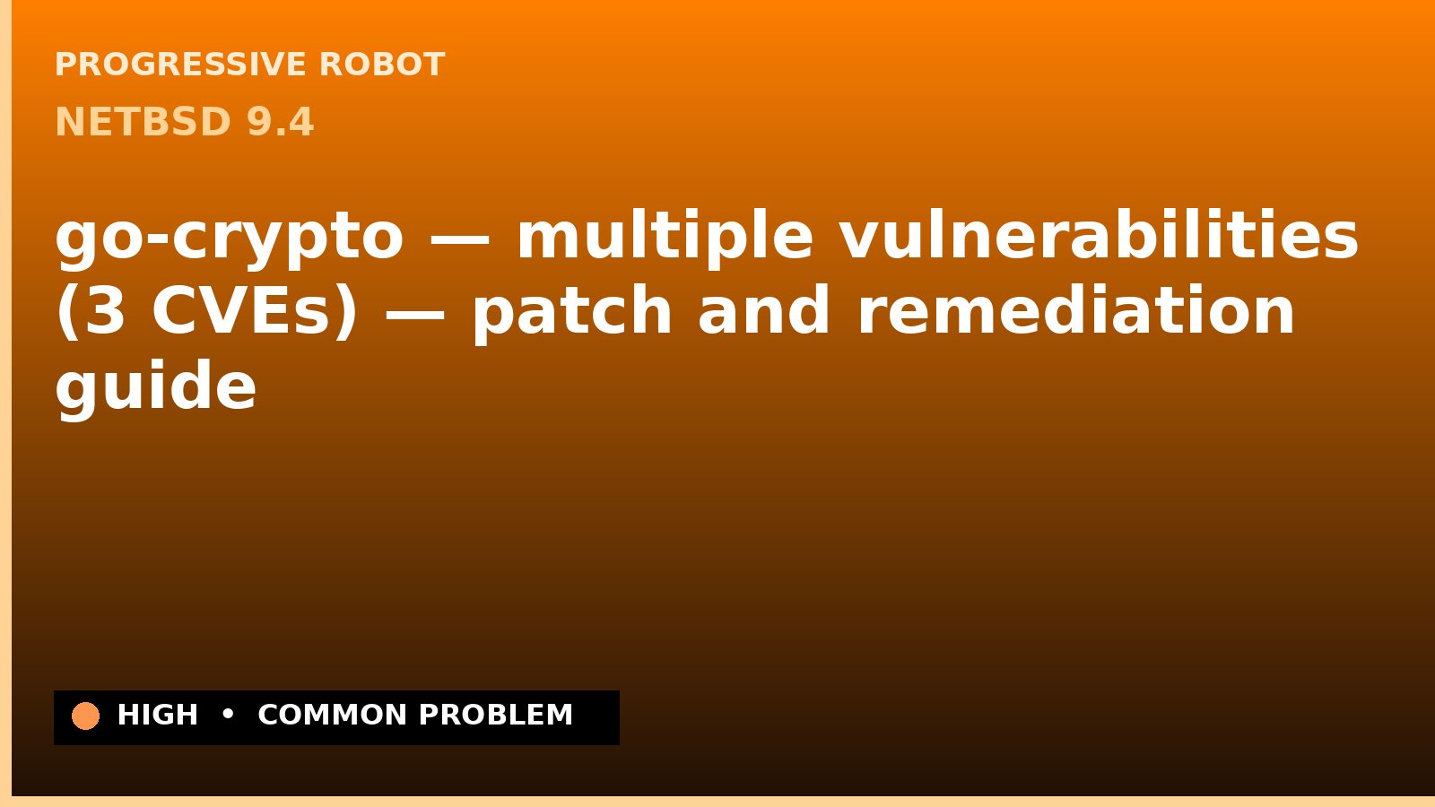 NetBSD 9.4 — go-crypto — multiple vulnerabilities (3 CVEs) — patch and remediation guide — diagnosis and fix on NetBSD 9.4